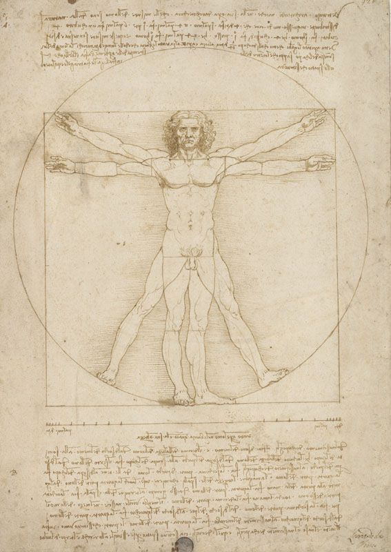 L’Homme de Vitruve, Léonard de Vinci (vers 1490)