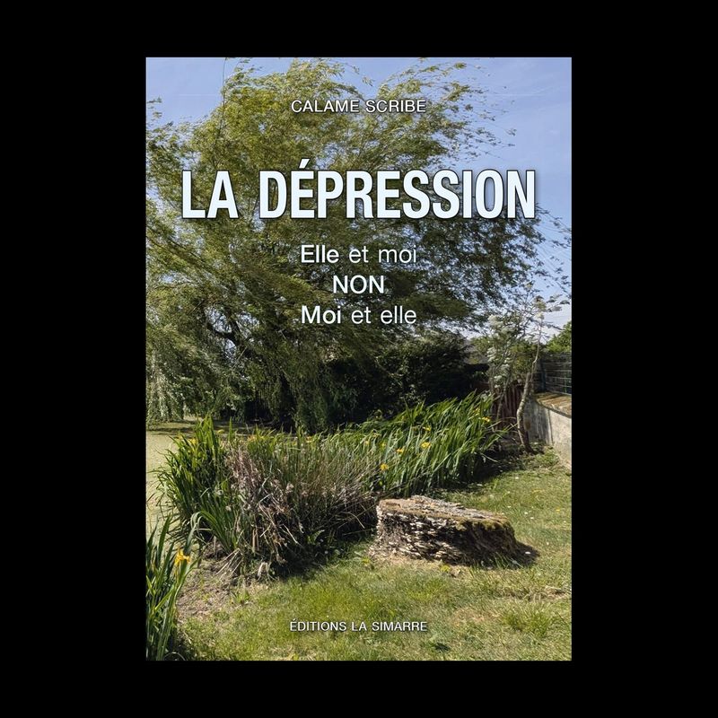 La dépression... Elle et moi, non, moi et elle. La dépression... Elle et moi, non, moi et elle.