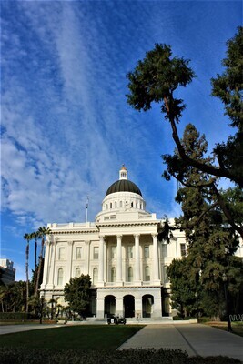 California State Capitol (8 x 10 Print)