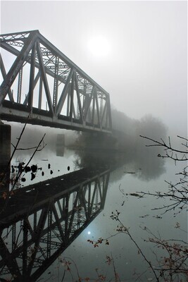 Bridge in Fog, Cosumnes River Preserve (8 x 10 Print)