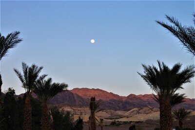 Moonrise over Death Valley (8 x 10 Print)