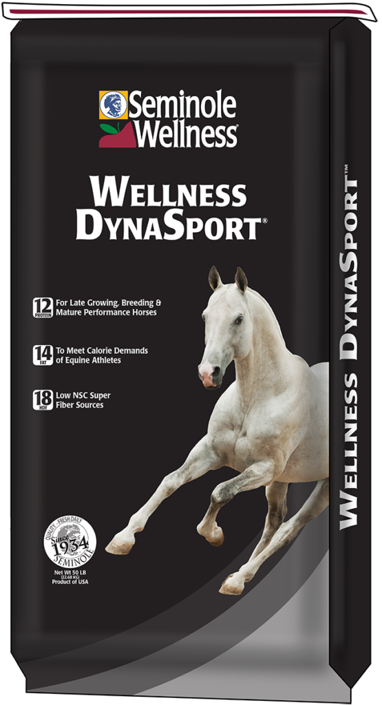 Wellness DynaSport