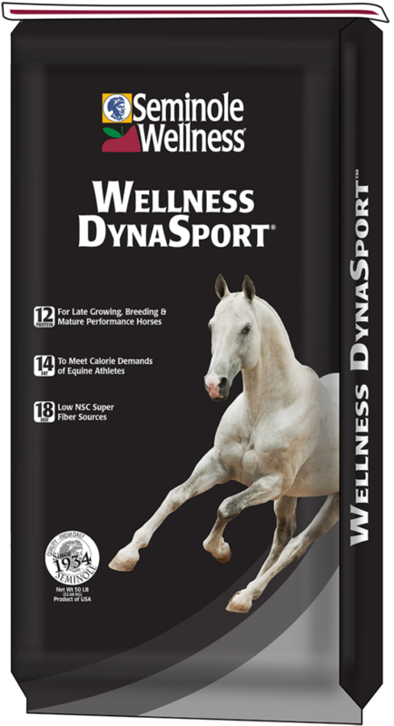 Wellness DynaSport