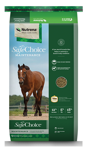 Safe Choice Maintenance