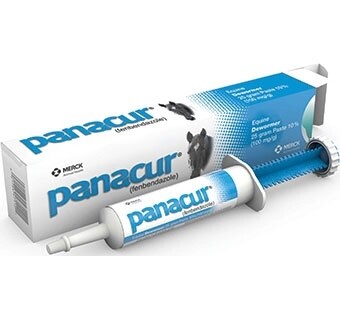 Panacur Dewormer Horse Paste - 10%, 25mg