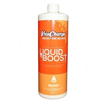Vita Charge Liquid Boost
