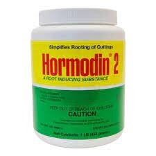 Hormodin 2 Rooting Hormone
