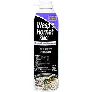 Wasp &amp; Hornet Killer Aerosol 15 oz