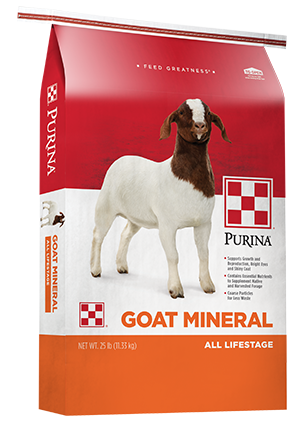Goat Mineral