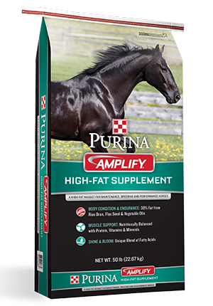 Amplify High-Fat