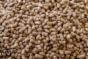 Paradigm Senior Pellets (Old Mare) (FRM)