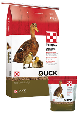 Duck Pellets