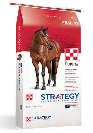 Strategy Professional Formula GX