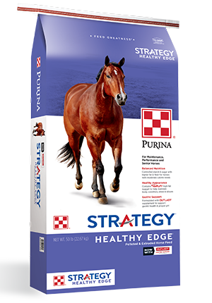 Strategy Healthy Edge