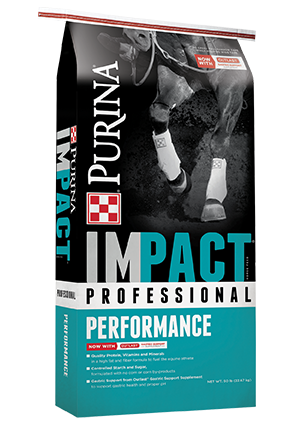 Impact Professional Performance
