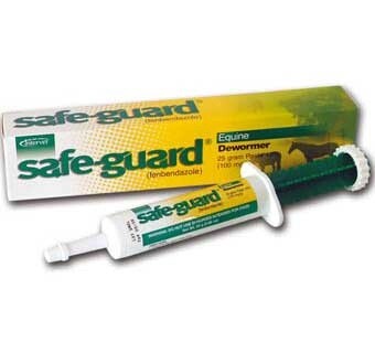 Safe Guard 10% Equine DeWormer Paste 25-Gram