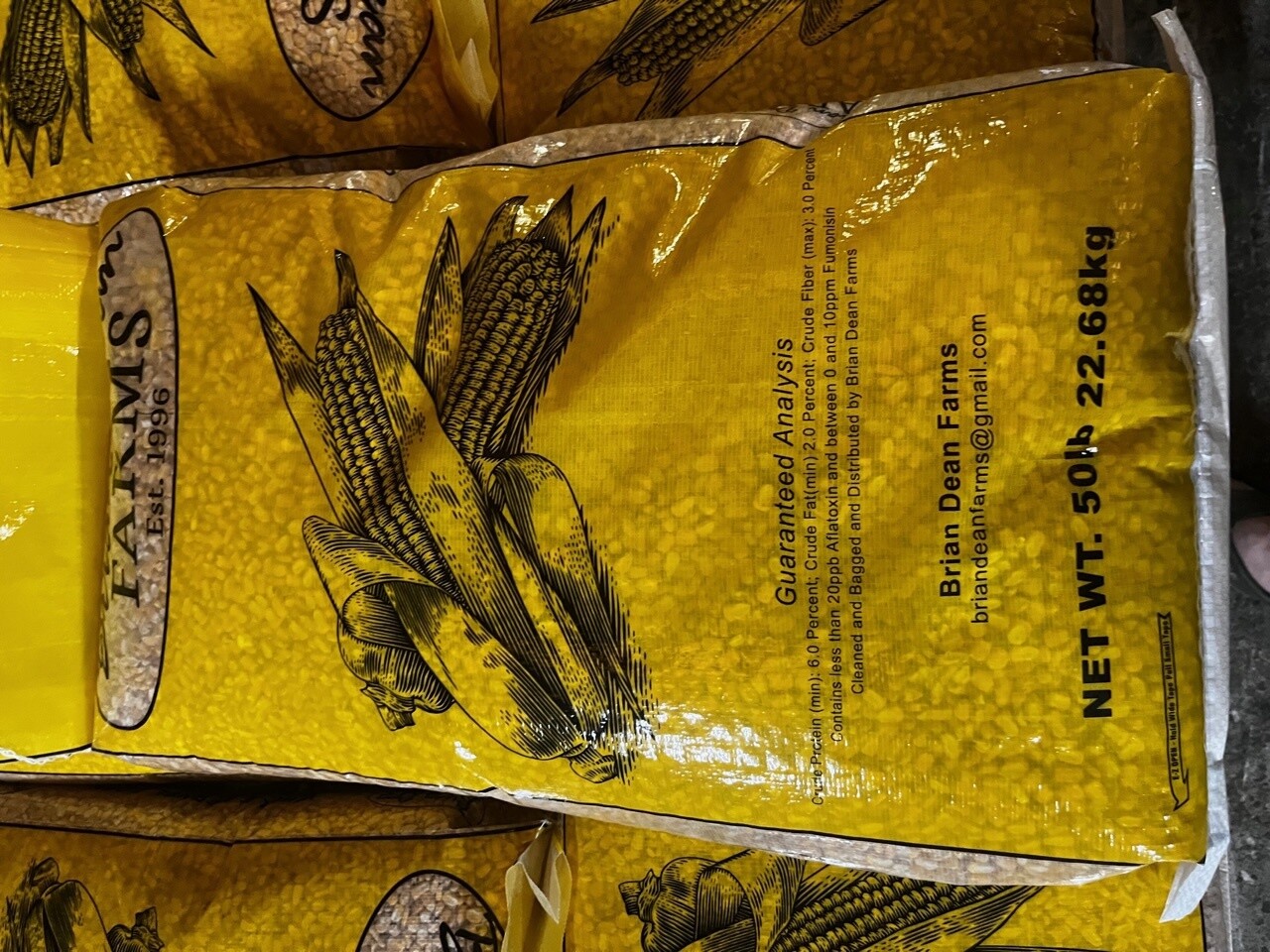 Shell Corn