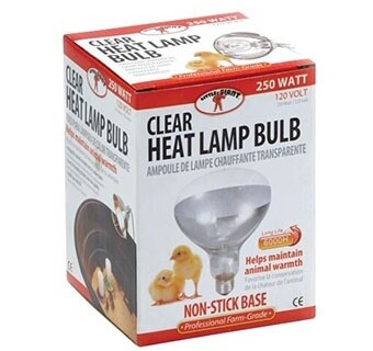 Clear Heat Lamp Bulb 250 Watt
