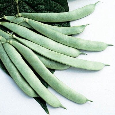 Roma II Bush Beans, Size: 50LB