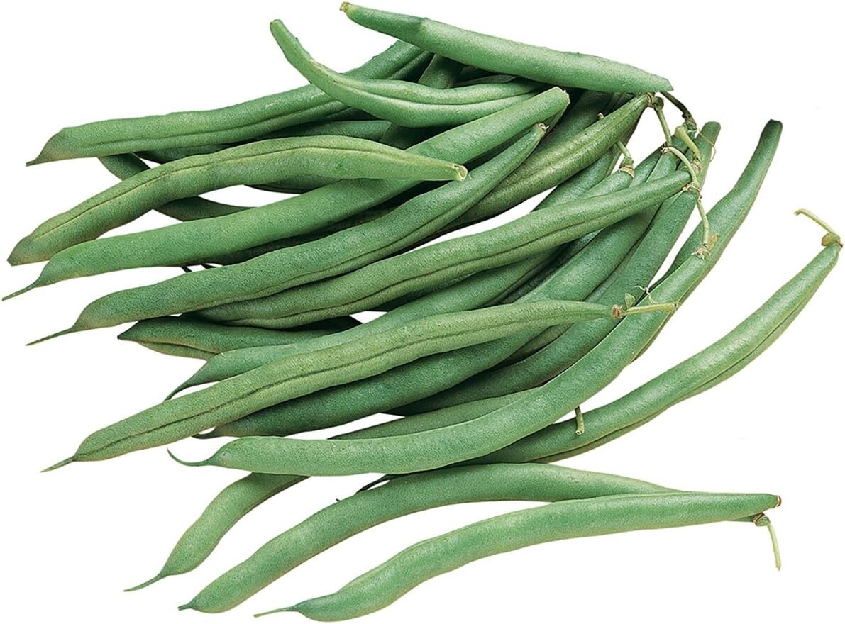 Blue Lake Bush Beans, Size: 50LB