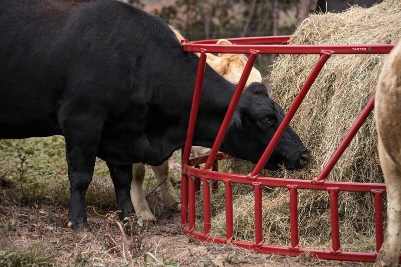 Steelcor Cattle Hay Feeder 2 Piece Red