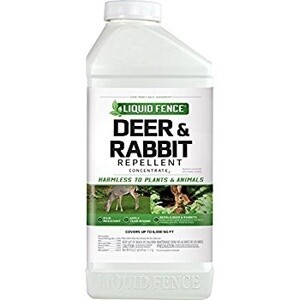 Liquid Fence Deer &amp; Rabbit Repellent Concentrate2