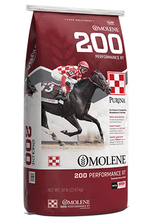 Omolene 200 RT Race Track