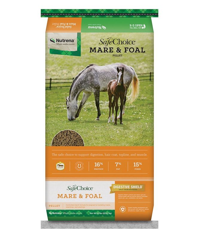 Safe Choice Mare and Foal