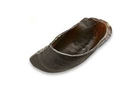 Grass Feed Cow Hooves