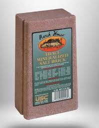 Trace Mineral Brick
