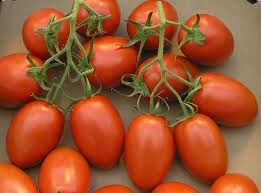 Roma VF Tomato Seeds, Size: 1/2OZ