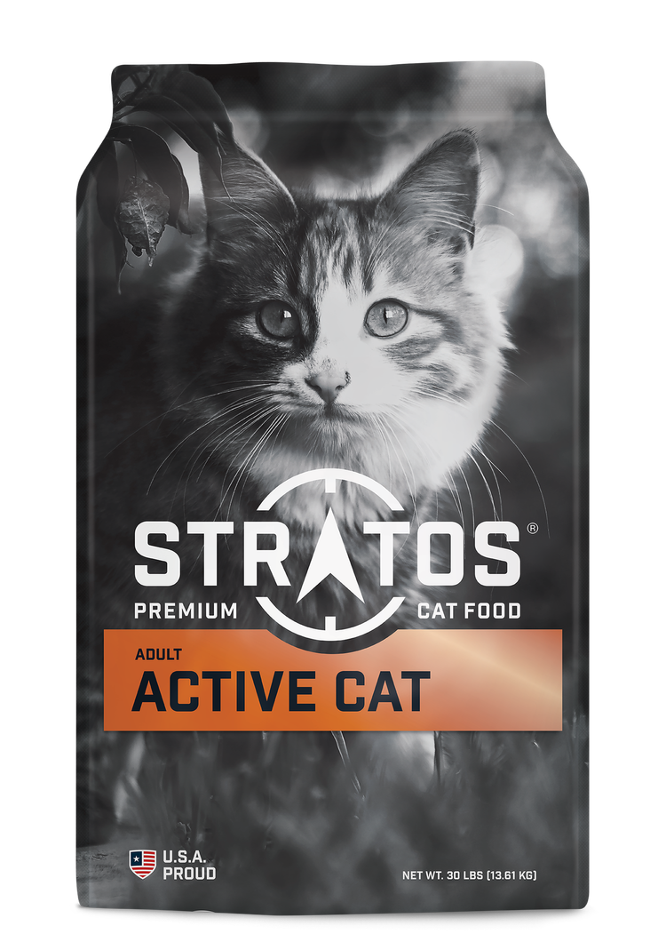 Adult Active Cat (Stratos)
