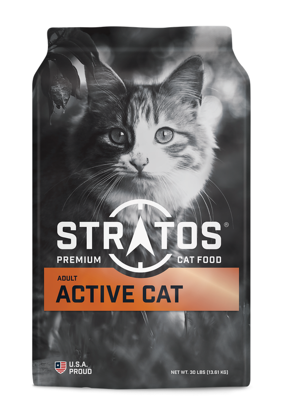 Adult Active Cat (Stratos)
