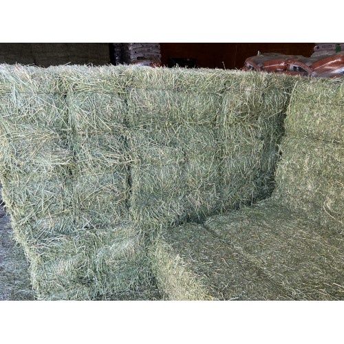 Square Bale Hay