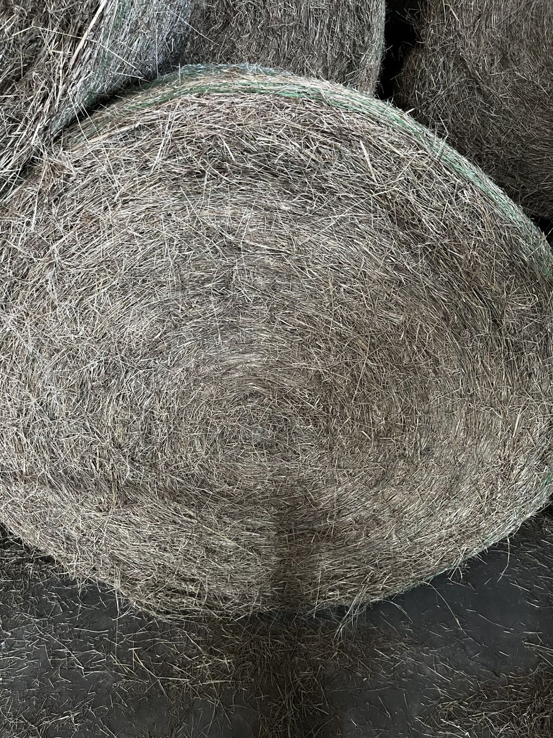Roll Hay (900-1000LB)