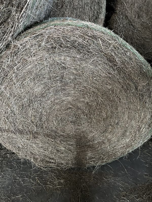 Roll Hay (900-1000LB)