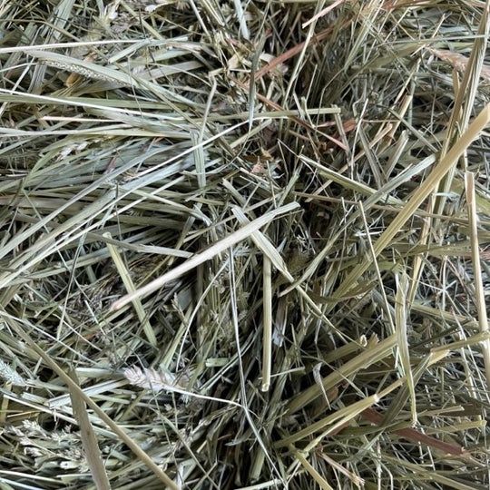 Timothy Hay 3-String Bale