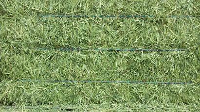 Alfalfa Hay 3-String Bale