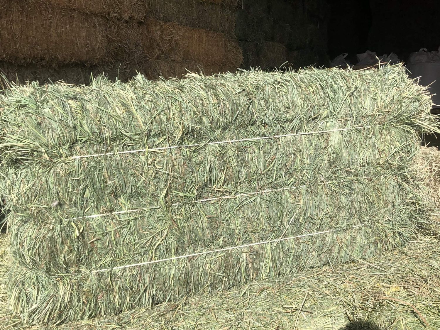 Orchard Grass Hay 3-String