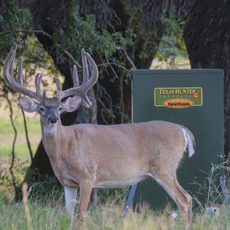 500 lb. Hide-A-Way Stand and Fill Deer Feeder
