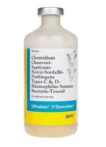 ULTRABAC 7/Somubac (Keep Refrigerated), Size: 50Dose/250ML
