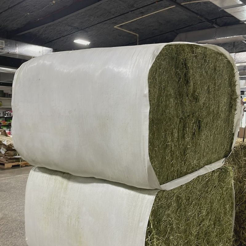 Alfalfa Hay Block Sleeved