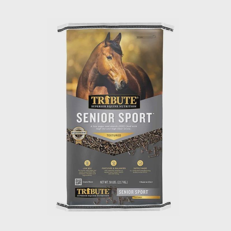 Senior Sport (Tribute)