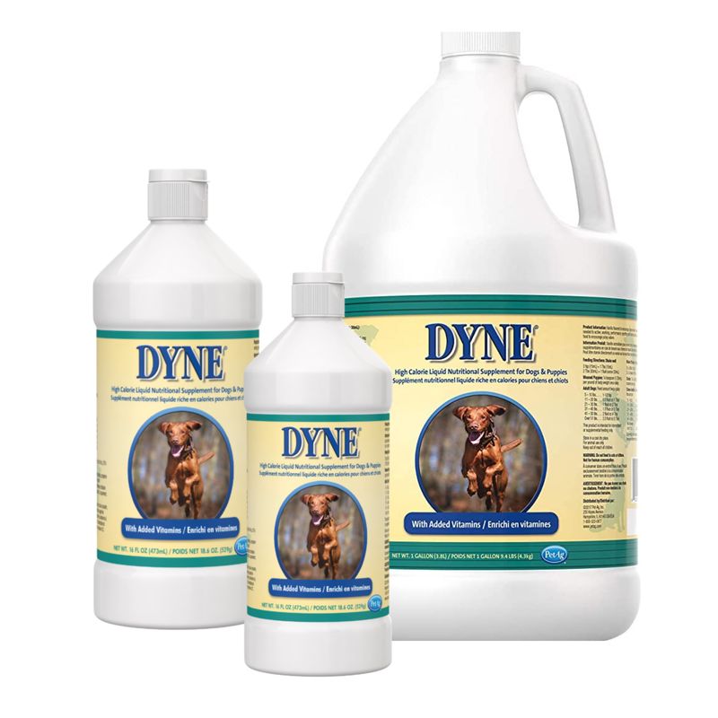 Dyne
