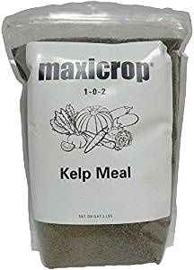 Maxicrop Kelp Meal