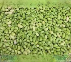Texas Cream 12, Size: 1/2LB