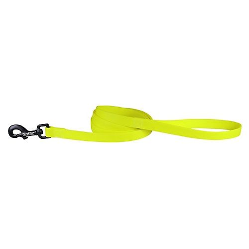 Carnival Biothane Dog Lead 0.75 in. X 6 Ft