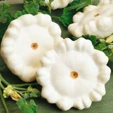 Scallop Early White Squash, Size: 1/2OZ