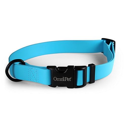 1&#39;&#39; CARNIVAL 18 x 26 ADJ Multi Colors, Colour: LBL