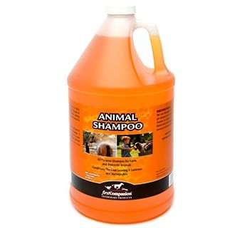 Animal Shampoo  Concentrate, Size: 1 Gallon